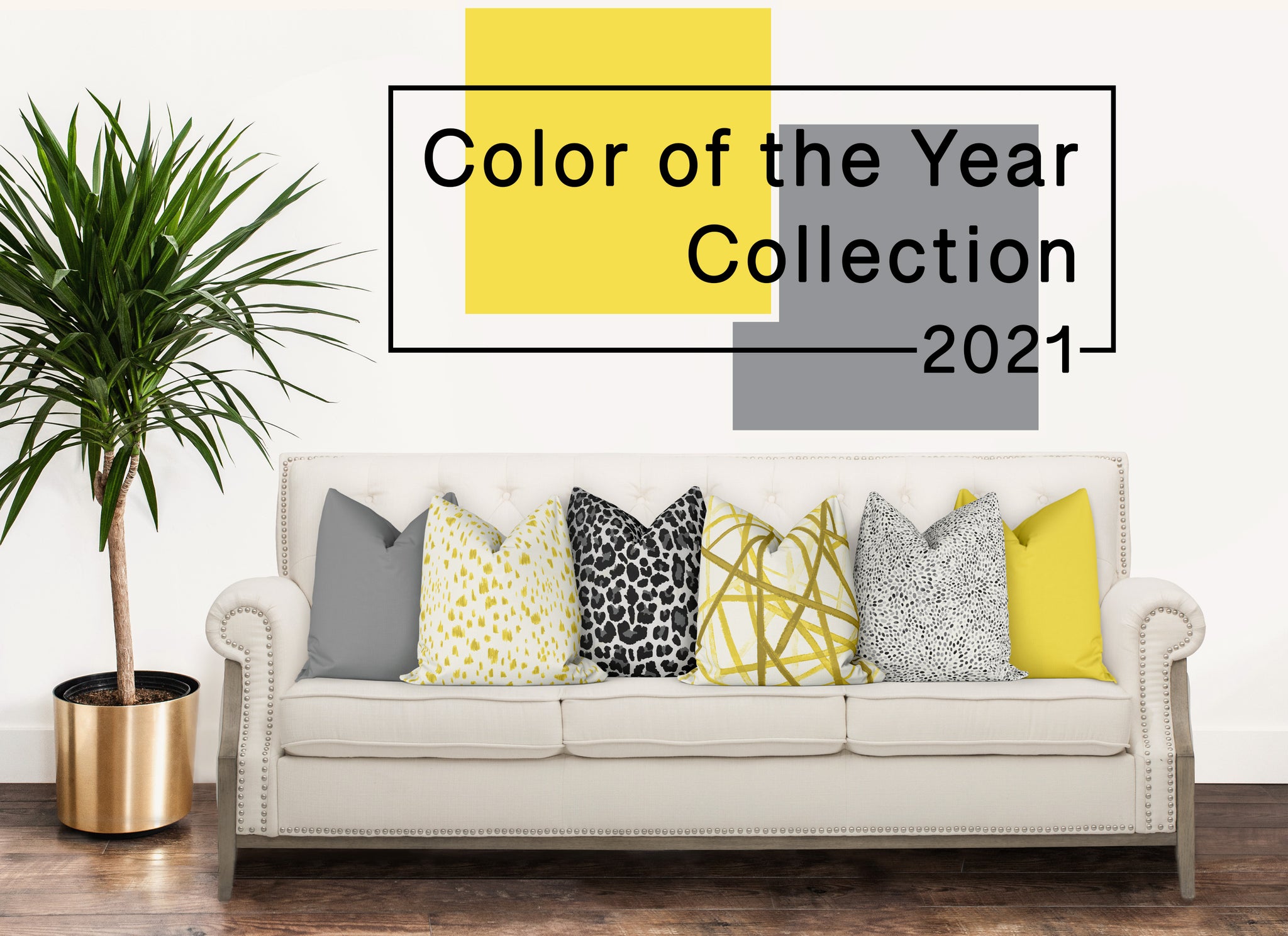 Color of the Year Collection