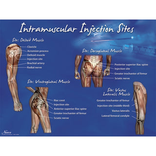 intramuscular