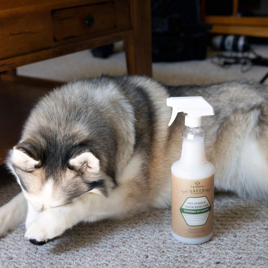 trinova pet stain remover