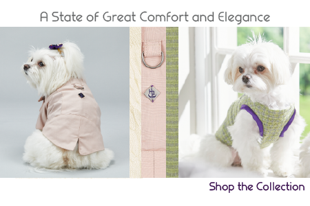 upscale dog clothes