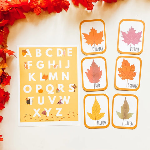 Leaf color flashcards and fall alphabet