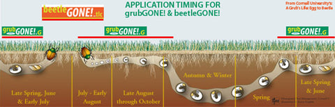 grubGONE! & beetleGONE! Application Timing