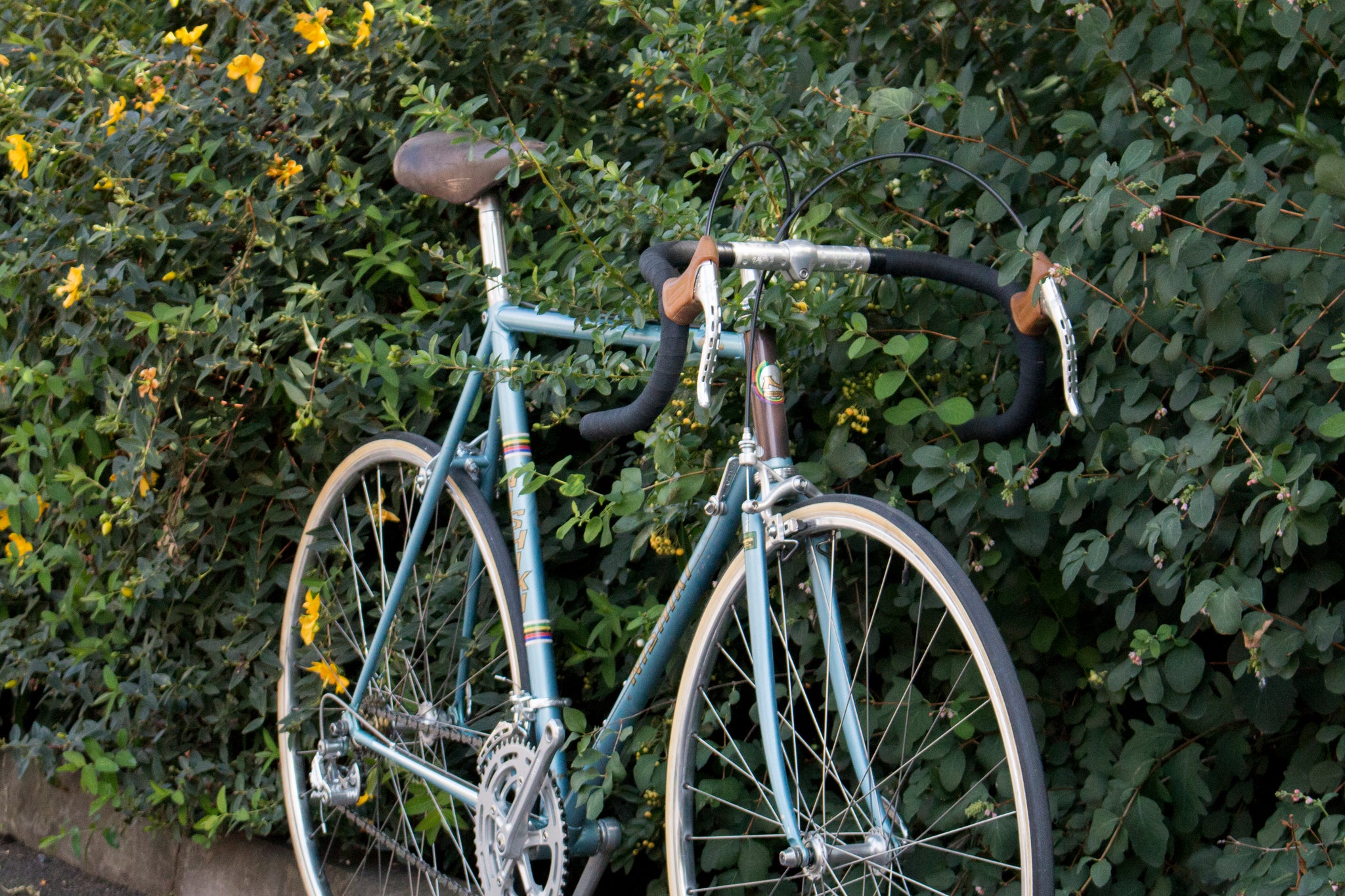 vintage nishiki sport road bike