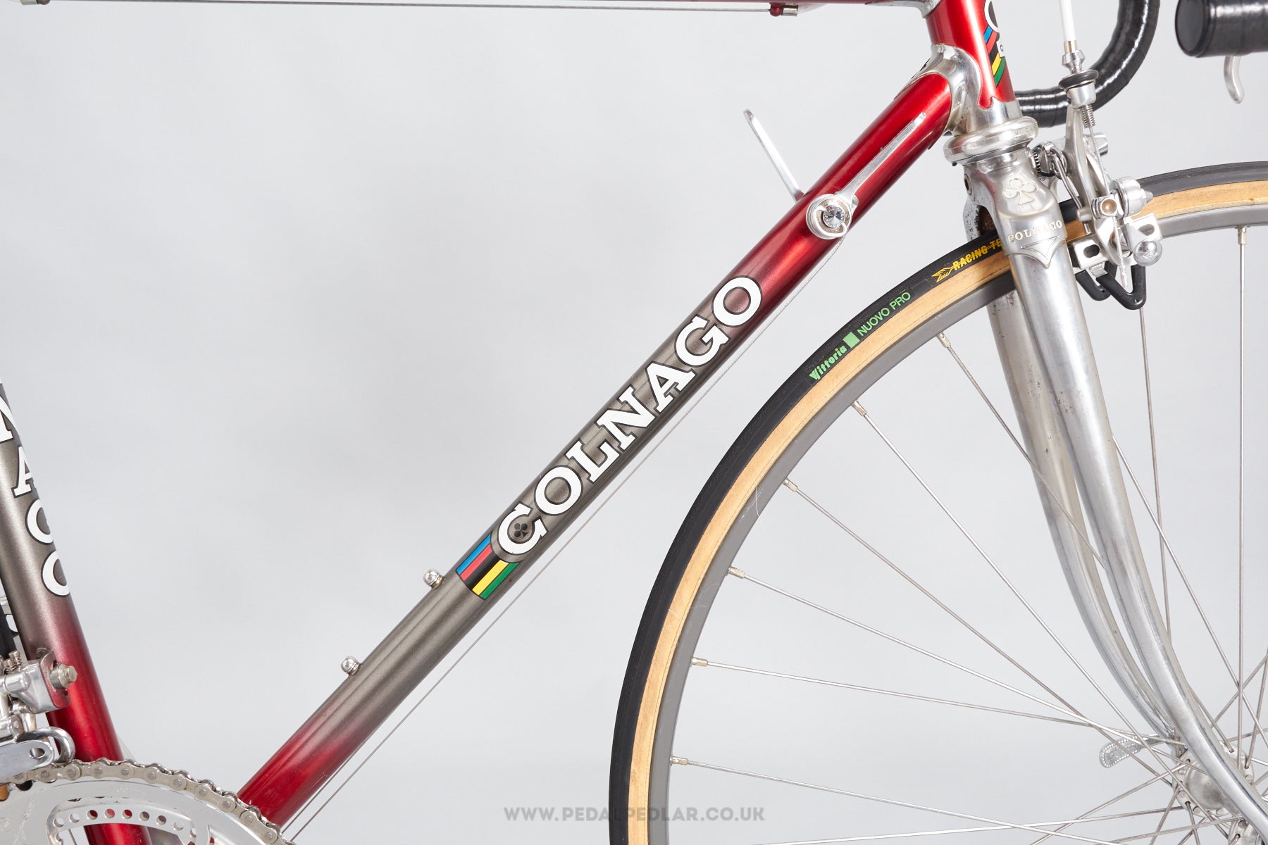 campagnolo frame
