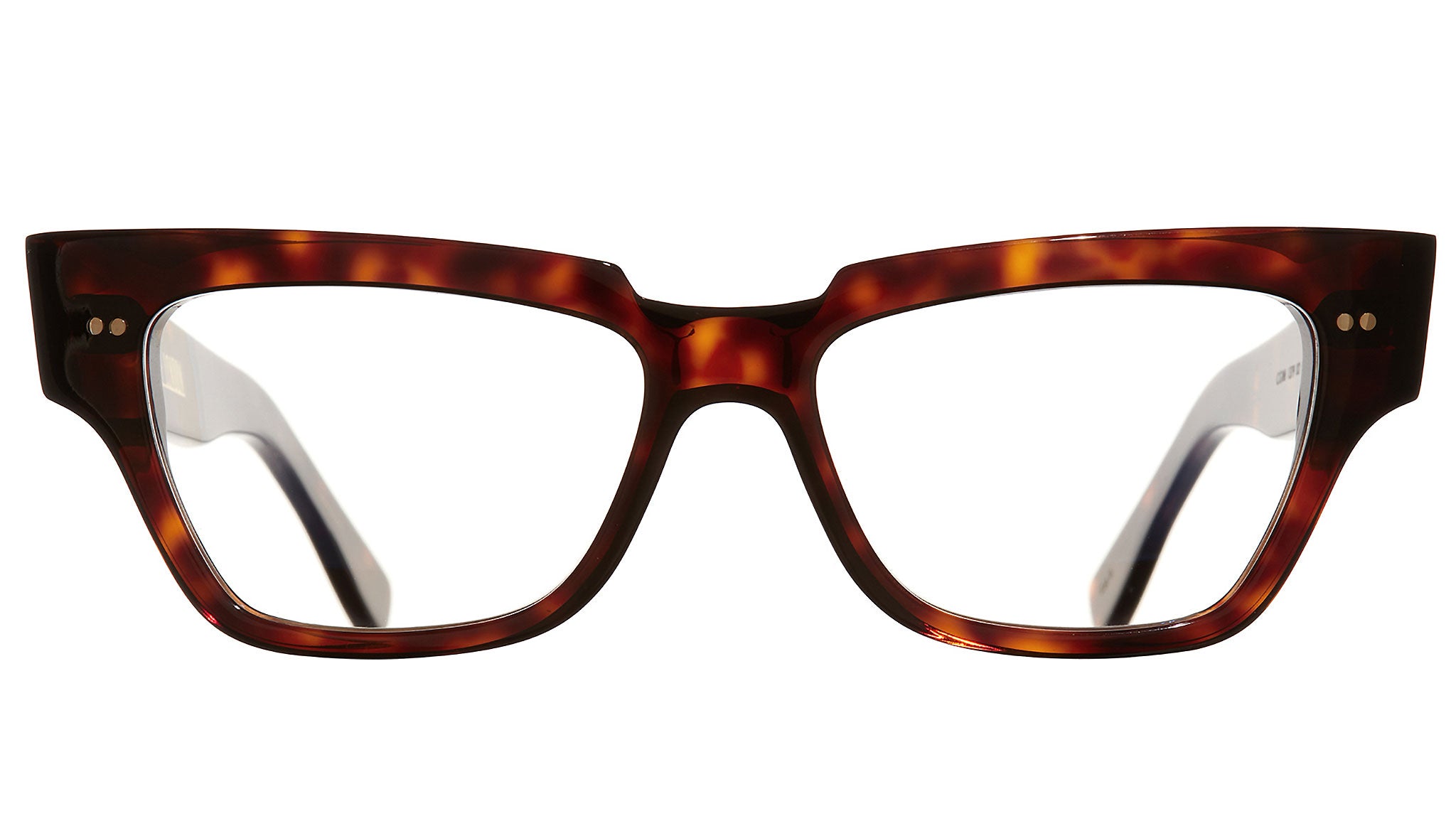 1379 Optical 02 Dark Turtle