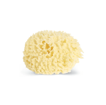 Small Wool Sponge