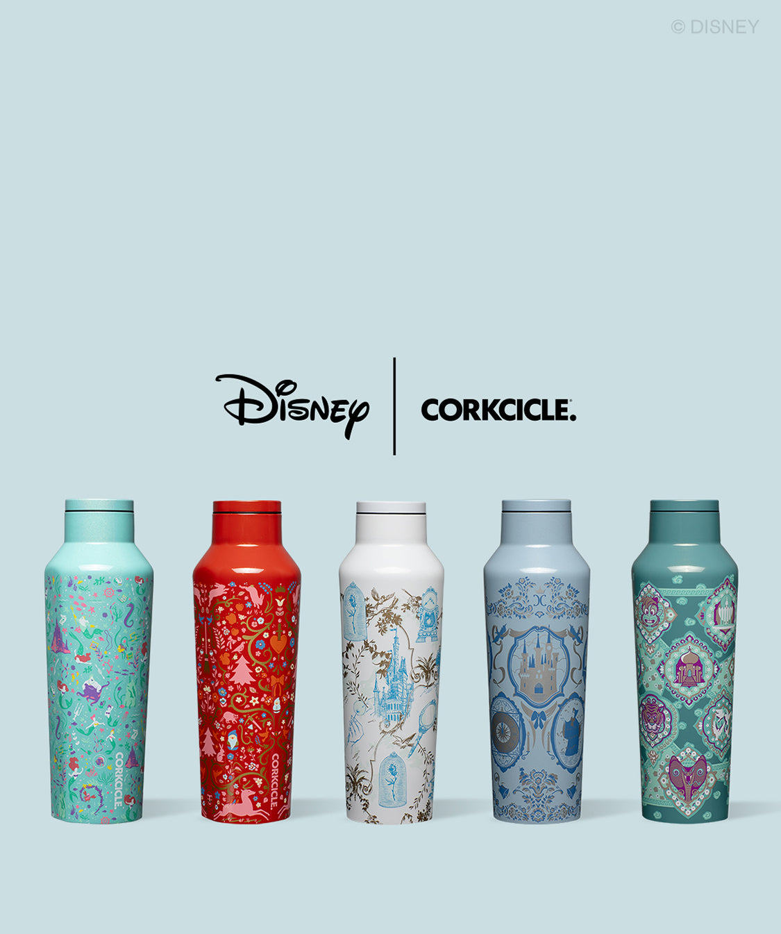 Disney Princess Icons Water Bottle With Screw-Top Lid Holds 28