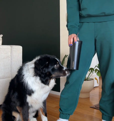 Dog Sniffing Corkcicle Insulated Water Bottle