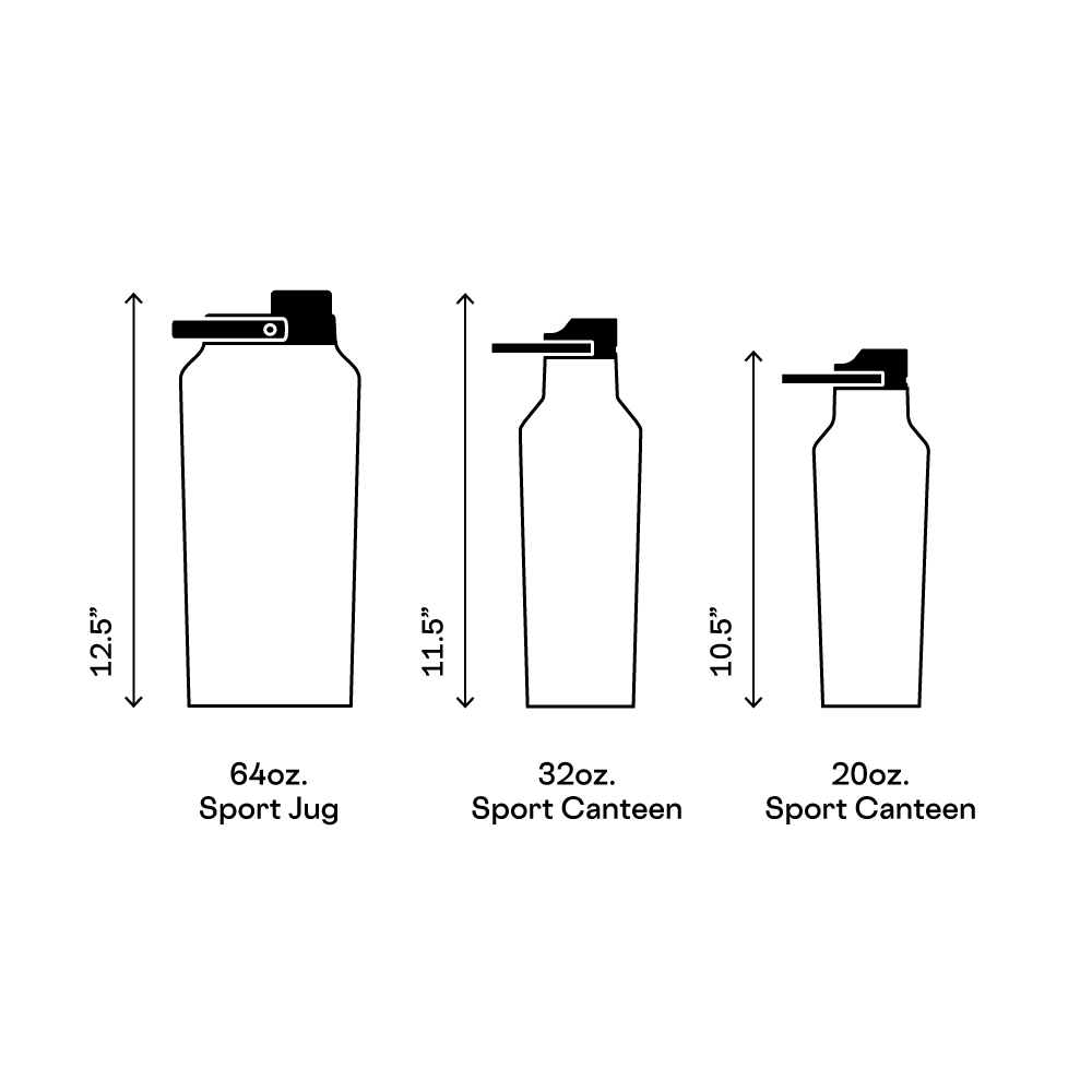 Insulated Water Bottle Series A Sport Canteen 20oz / Dragonfruit