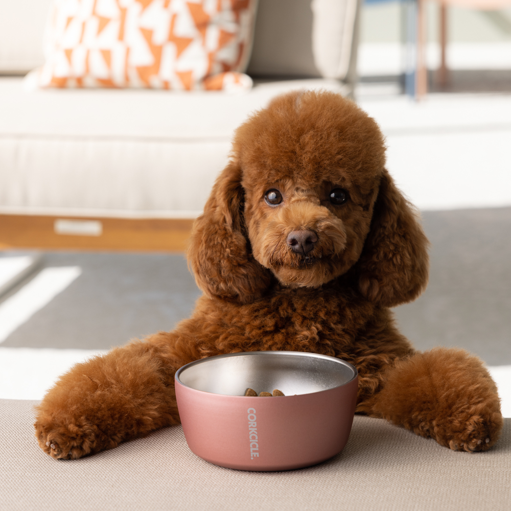 Large Dog Bowls - Personalized Set of Stainless Steel Bowls