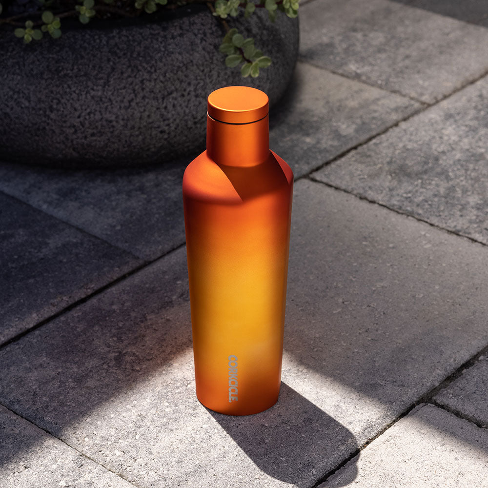 Corkcicle Sport Canteen - 20 oz Dragonfly