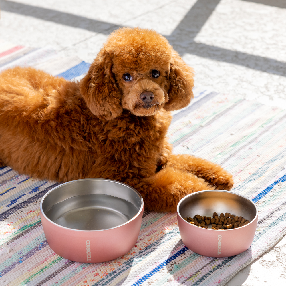 Corkcicle Dog Bowl - Ceramic Sierra / 16 oz