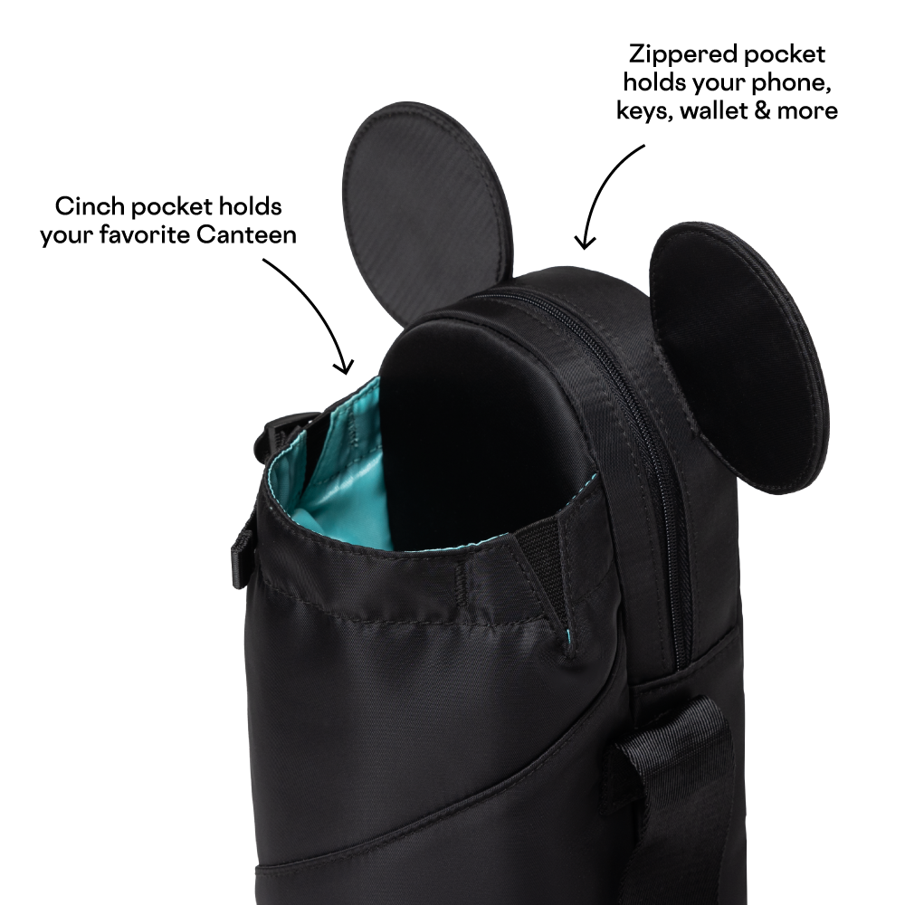 https://cdn.shopify.com/s/files/1/0105/8732/t/49/assets/ecbe2ac9fb6f--Disney-Sling-Black-2.png?v=1682093573