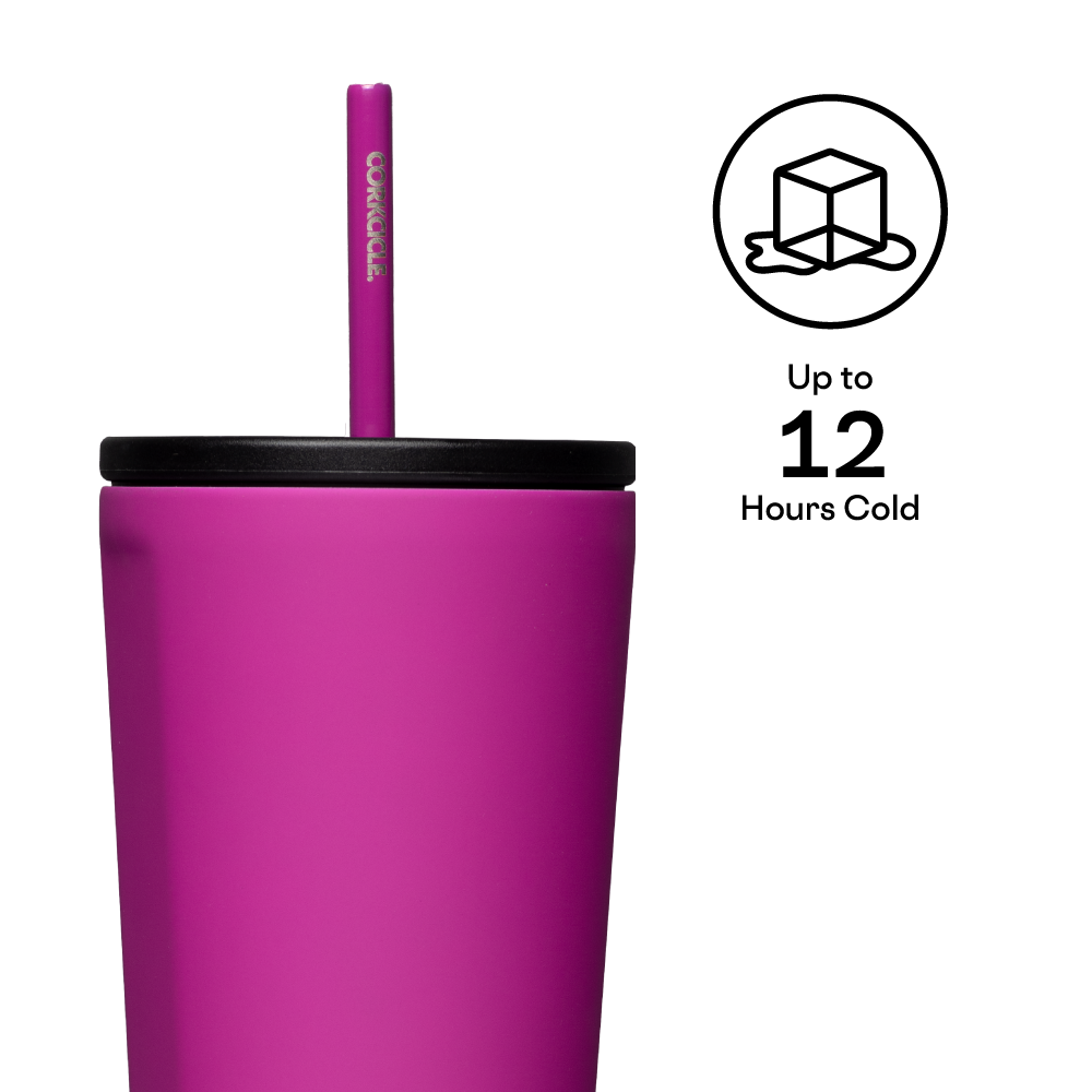 Insulated Tumbler with Straw  Cold Cup 24oz / Berry Punch