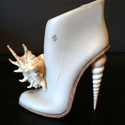 The shoe last form with a seashell for a heel and a seashell as ornament on the front of the last