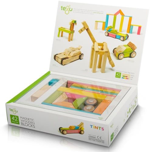 42 piece tegu blocks