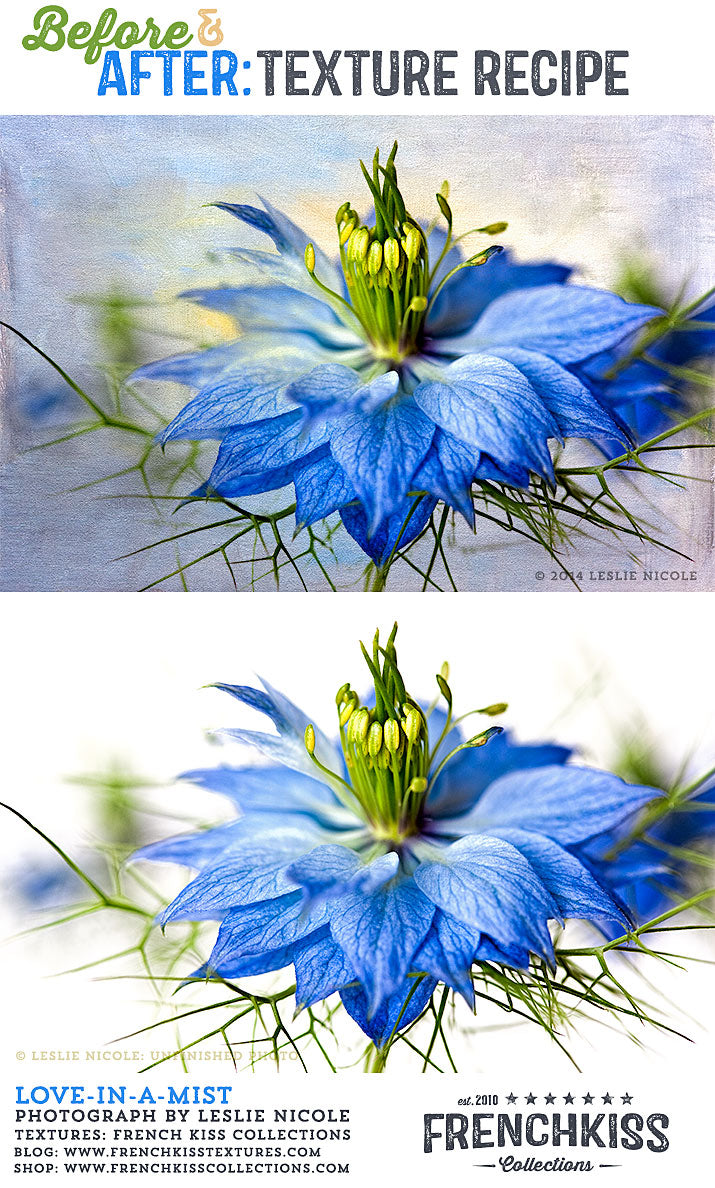 Before and after texture example using a Love-in-a-mist flower macro.
