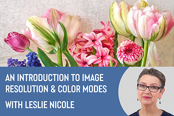 An Introduction to Resolution and Color Modes With Leslie Nicole and Design Cuts.