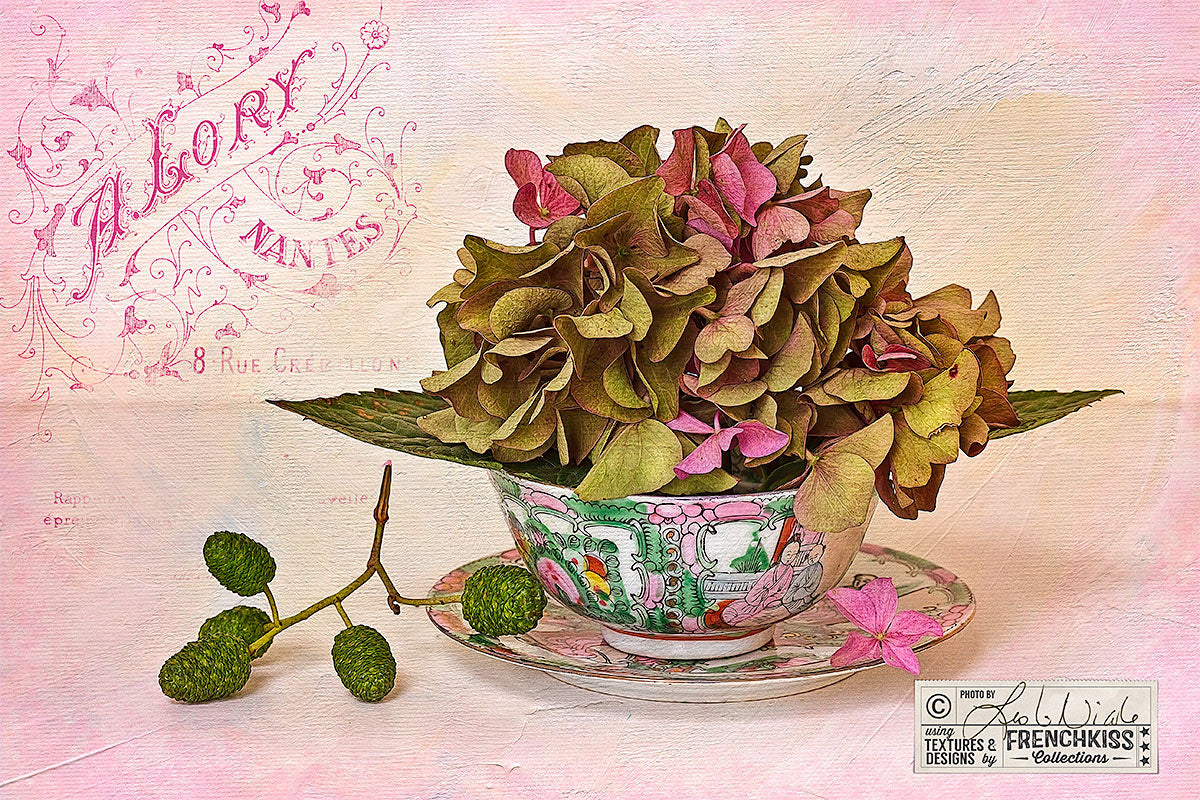 Hydrangea textured photograph with vintage overlay by Leslie Nicole.