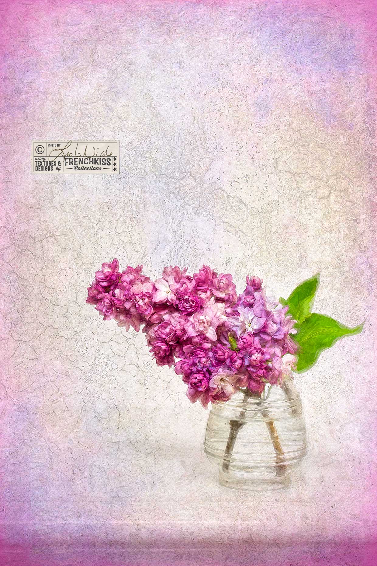 Photograph of Lilac by Leslie Nicole with textures by French Kiss Collections.