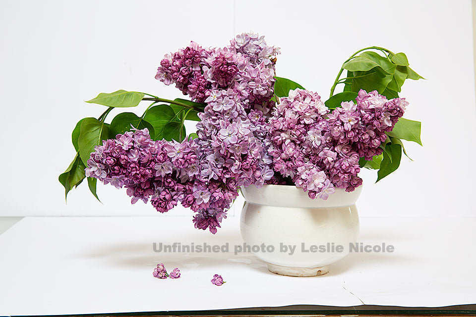 Lilac still life by Leslie Nicole before processing and textures.