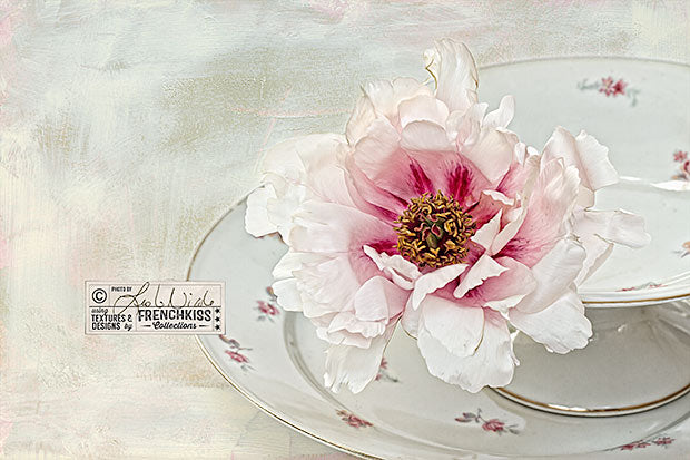 Tree peony photograph combined with a painterly texture by French Kiss Collections. Image by Leslie Nicole.