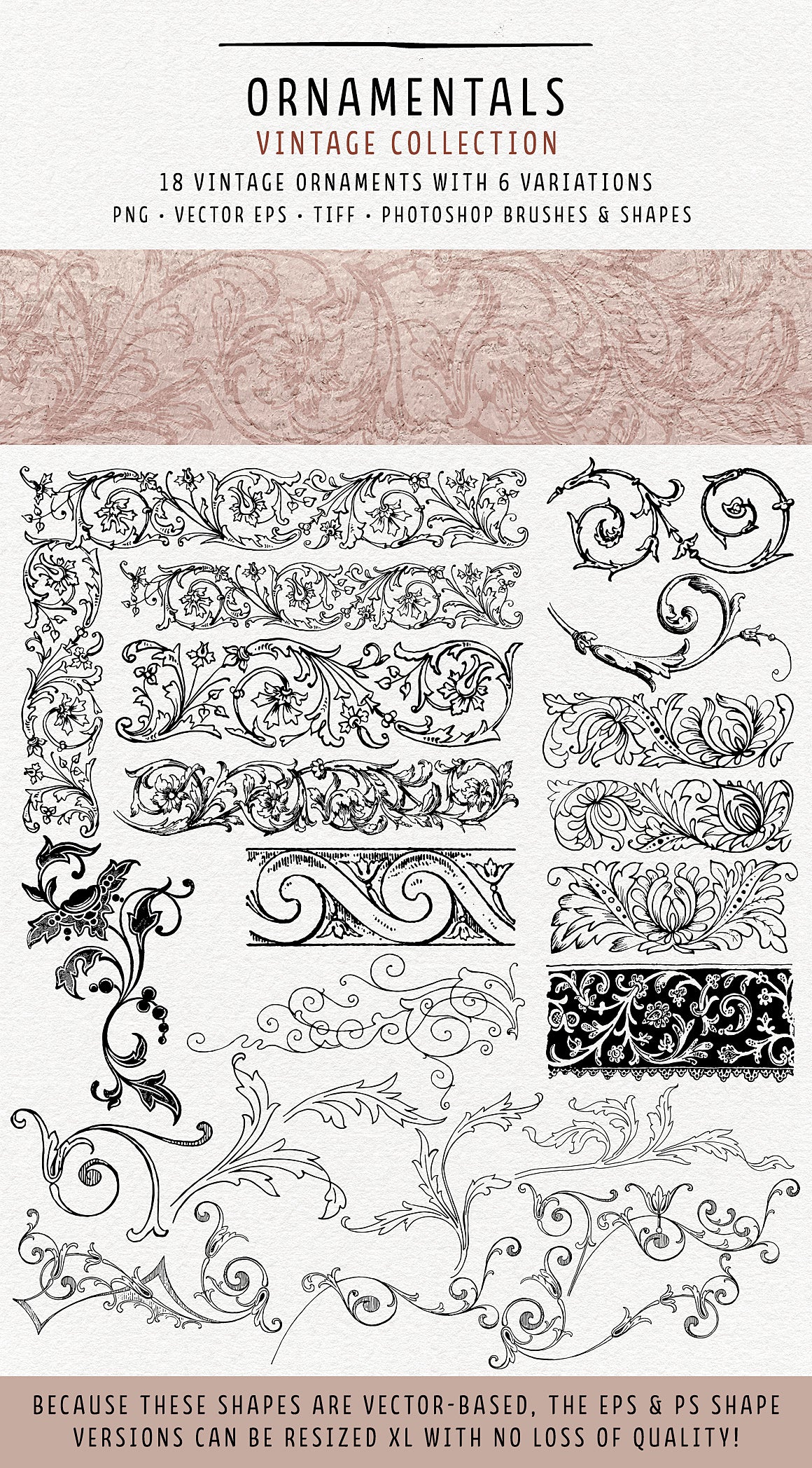 Vintage Ornamentals flourishes and florals overlays, vector, and brushes.
