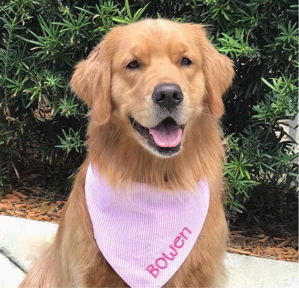 Official Genuine OEM Subaru Dog Bandana Hot Pink Forester Paw Print Pet