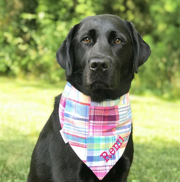 New York Yankees Dog Bandana, Personalized with your Pup's Name – Koa's  Ruff Life