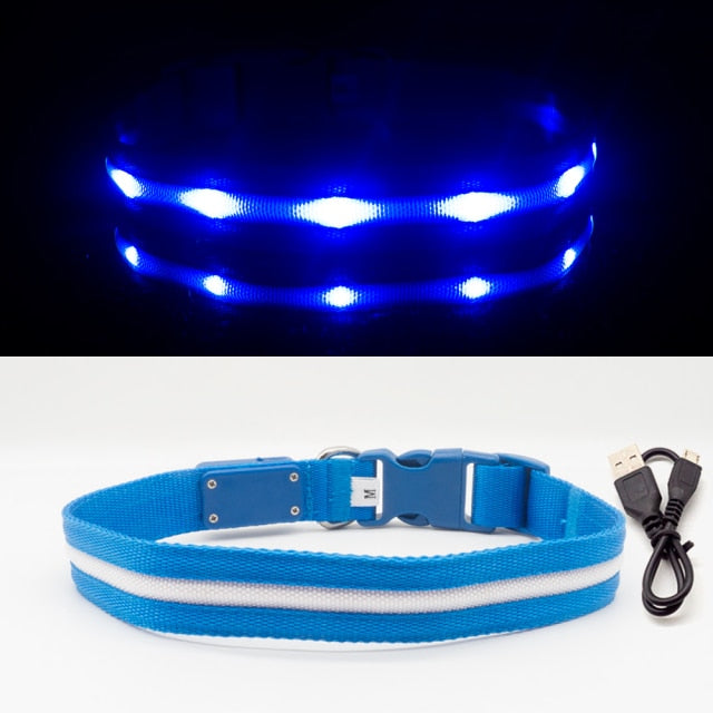 Waterproof LED Dog Collarr Dogs Puppies at Night ,   Anti-Lost lead Pet Products Dog Accessories