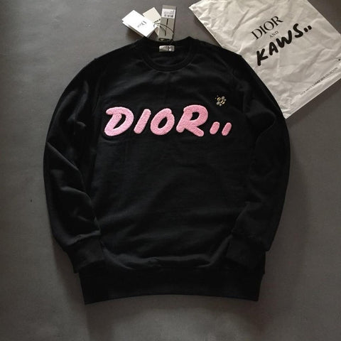 dior x kaws sweater