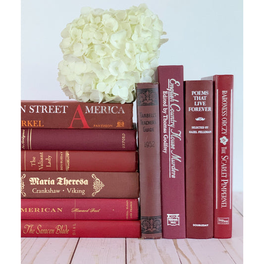 Dark Red Vintage Books, Instant Library, Decorative Books, Rainbow Boo –  Pretty Old Books
