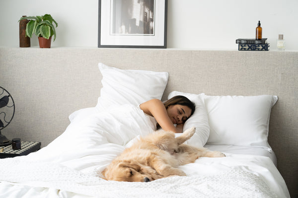 Woman and her dog sleeping on Weavve’s Signature TENCEL™ Classic Set in Cloud White