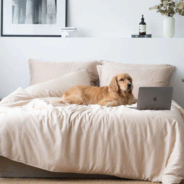 Dog and laptop on top of TENCEL bed sheets in sand taupe