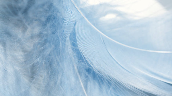 Strands of a light feather for duvet inserts