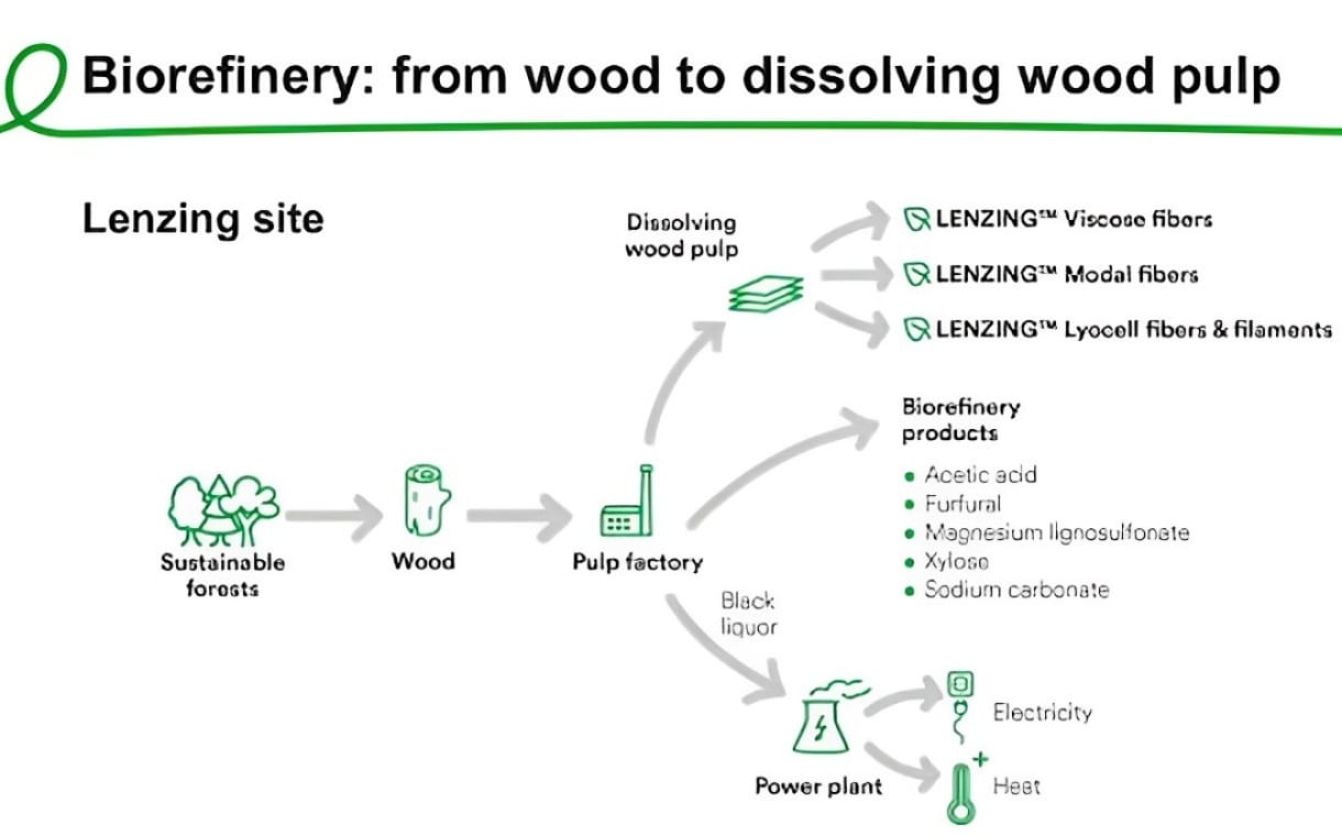 biorefinery process visual infographic
