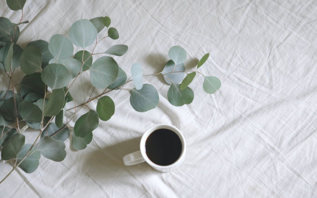 cup of coffee and eucalyptus plant on top of a white bedsheet