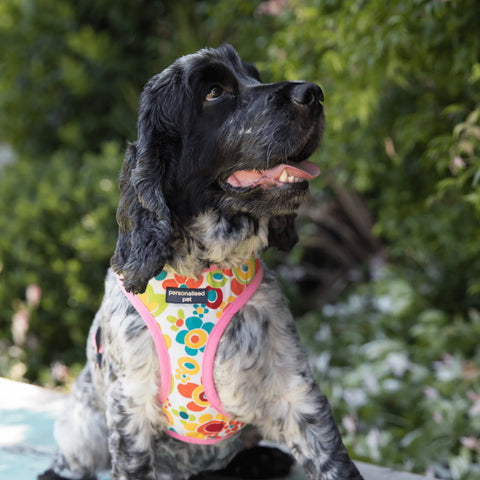 a dog wearing a cute floral dog harness with name