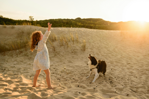 photo - a little girl and a dog playing and jumping on the beach with sun shining on the background