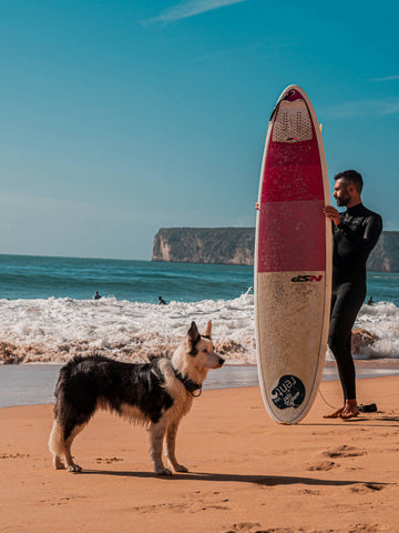 photo - a man with a surf board on the beach with a dog by the ocean