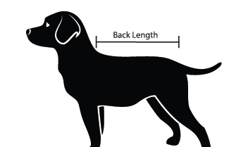 Back Length Guide