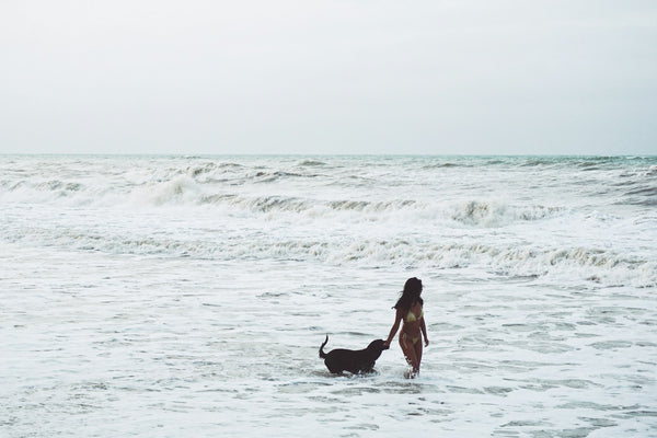photo - a woman and a dog walking into the ocean in the small waves on a dog beach