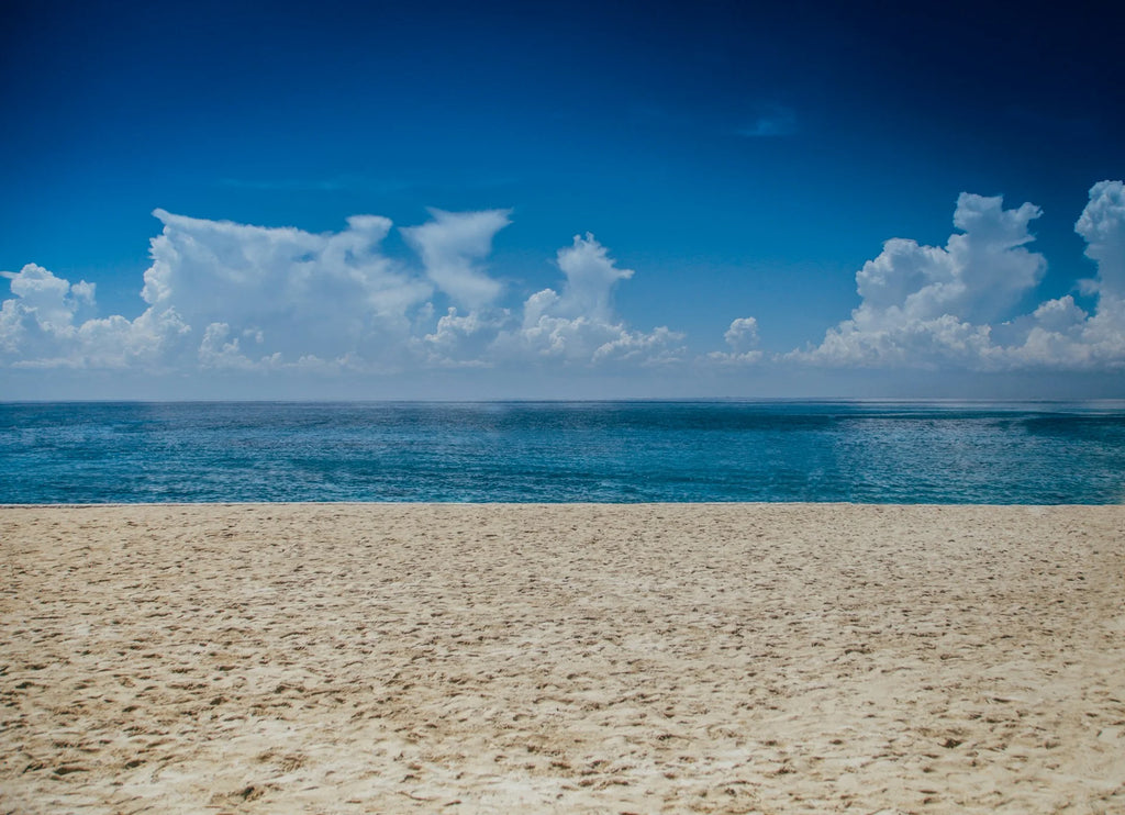 photo - beautiful water and beach at rose bay dog beach