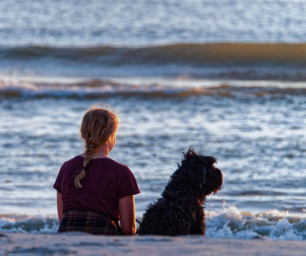 photo - a woman with braided hair and a black big dog breeds Australia dog sitting next to her, both looking at the ocean