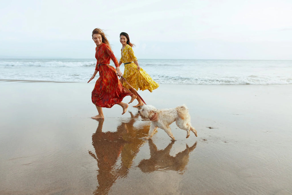 photo - two women running on a beach with a dog on rose bay foreshore