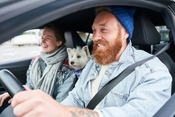 photo - two people in a car with a white dog in between them secured with a dog seat belt