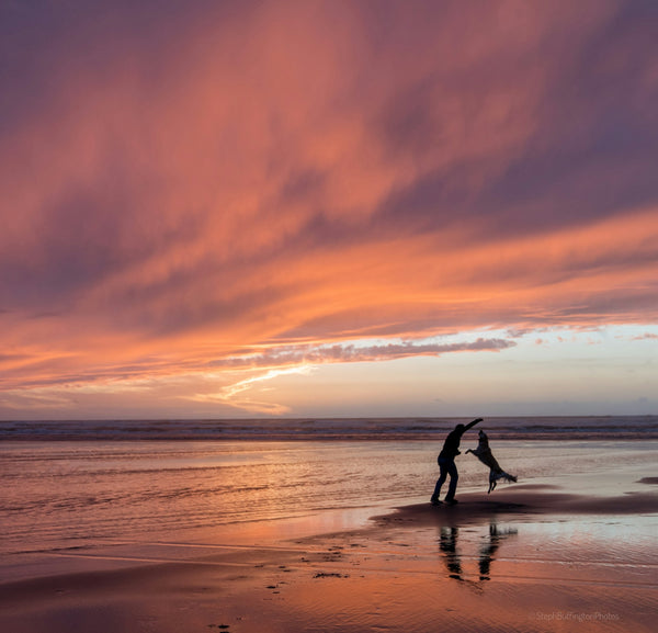 photo - a man and a dog on a beach during sunset playing on the shore