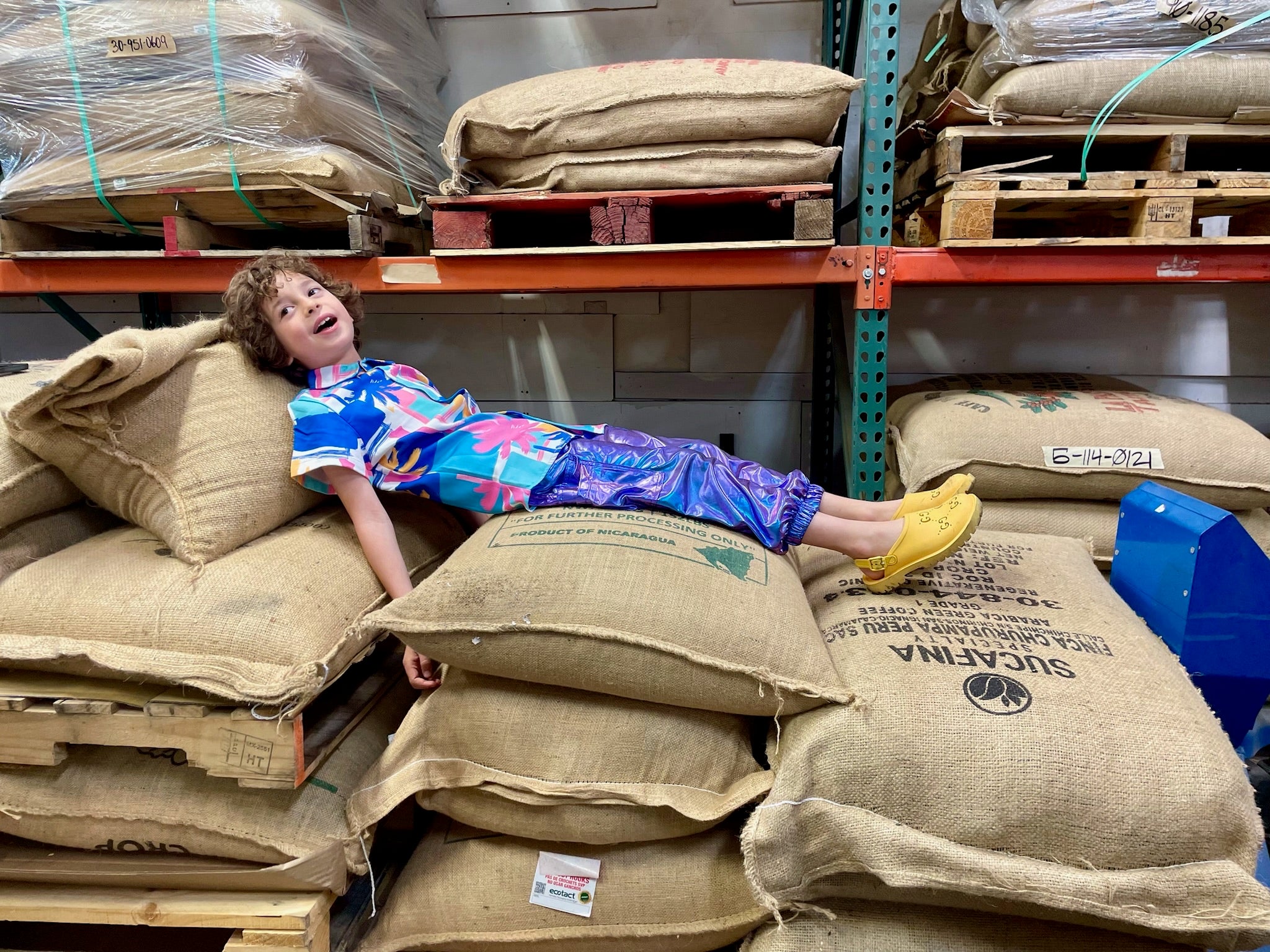 Max lying on a stack of coffee sacks in the Groundwork warehouse