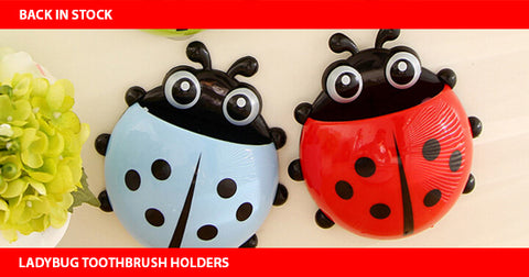 ladybug toothbrush holders