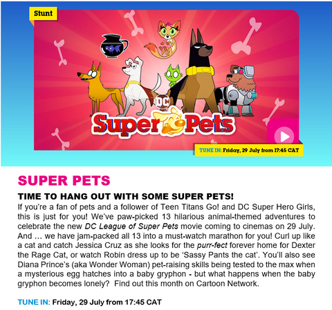 cartoon networks superpets article